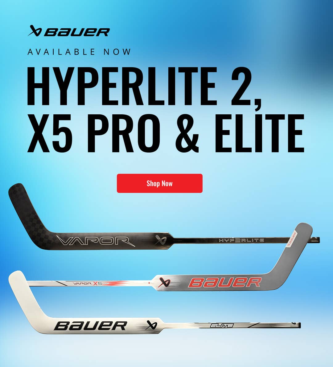 Bauer Vapor Goalie Sticks